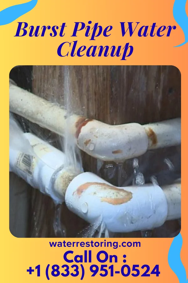 Burst Pipe Water Cleanup in Allison Gap, VA
