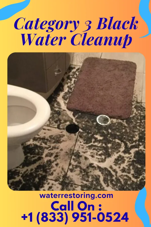 Category 3 Black Water Cleanup in Allison Gap, VA
